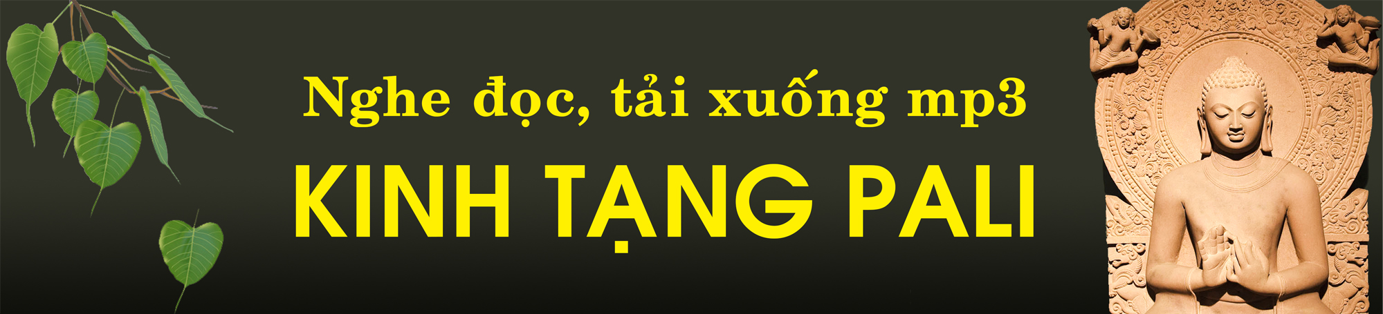 nghe đọc tải xuống kinh tạng pali mp3